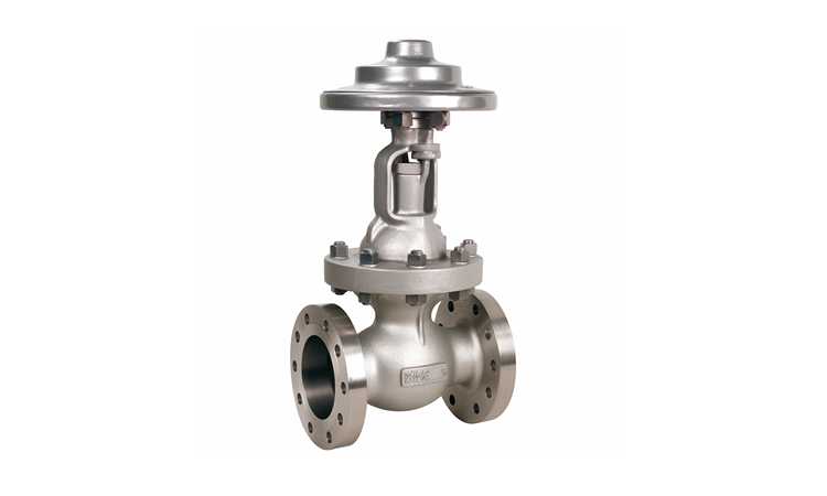 Globe Valves Supplier India